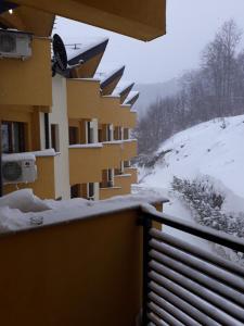 Andrey Apartment