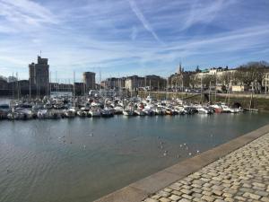 Appartements Appartement centre ville pres du port avec parking et wifi : photos des chambres