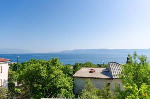 One-Bedroom Apartment with Balcony room in Apartments and Room Drazen
