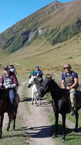 Guesthouse Ushguli Maspindzeli