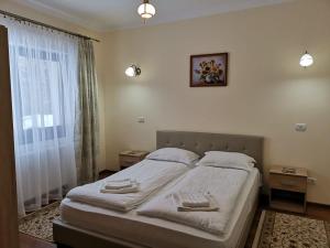 Studio with Sofa Bed room in Fantanita Craiesei
