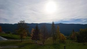 La Combe du Haut photo 9