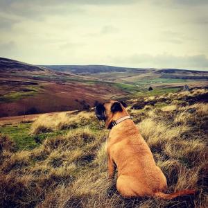 Micro Barn Mickleton Barnard Castle