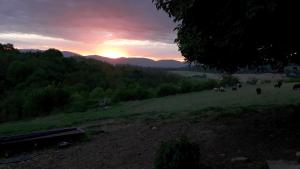 Maisons de vacances Une pause sur la colline : photos des chambres