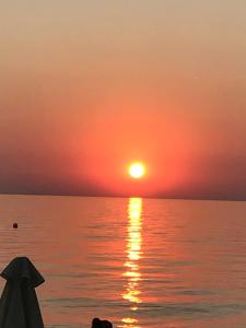 HOTEL BARA Halkidiki Greece