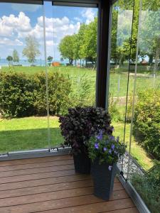 Hytte B-Home Resort Zam&aacute;rdi Ungarn