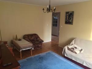 Modlin Airport - Warsaw - Comfortable Apartment