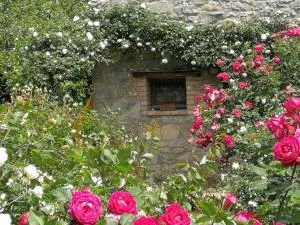 Cà di Minù - Fratta