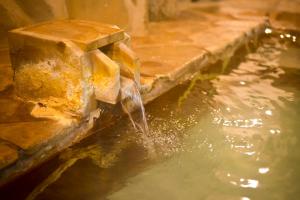 Sengokuhara Hisanoha