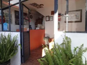 大柏树酒店 - 科米坦德多明格斯