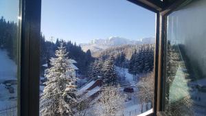 Treasure Mountain Predeal