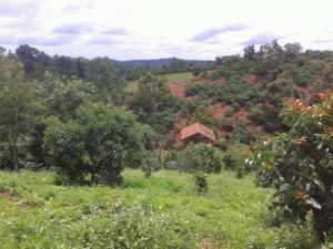 Lilys Stone Garden double room