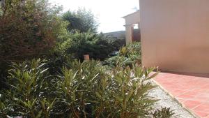 Chambres d'hôtes "Les Passiflores" photo 6