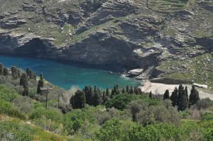 MILTIADIS APARTMENTS Andros Greece
