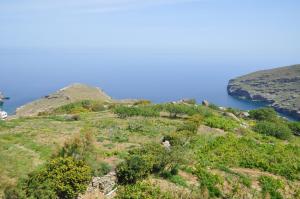MILTIADIS APARTMENTS Andros Greece