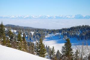 Appartements Neige & Soleil Les Rousses : photos des chambres