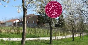 B&BLa collina dei ciliegi - Cassano Spinola