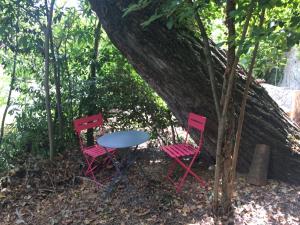 Appartements Nyons Centre Appart#2: balcon, jardin, plage : photos des chambres