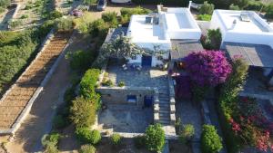 Villa Sophia Paros - Beachfront Three-Bedroom Villa with Sea view Paros Greece