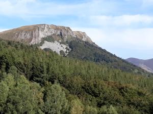 B&B / Chambres d'hotes Les Roses Des Bois : Chambre Familiale