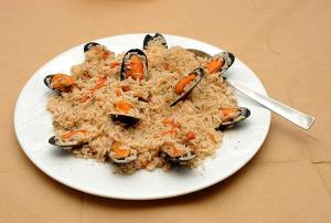 Hotel Pelagos Studios Evia Greece