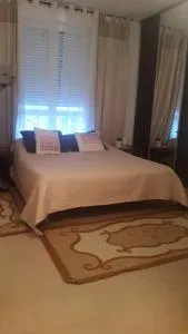 8 Rue Brise Echalas - 圣但尼