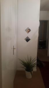 Appartements 8 Rue Brise Echalas : photos des chambres