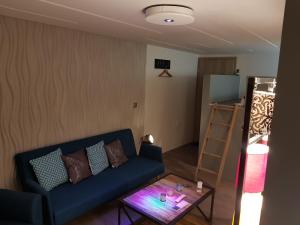 Villas Gites Spa Strasbourg - La Villa 14 : photos des chambres