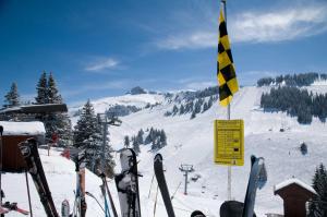 Appartements Duplex Le Yeti 16 Station Thollon les Memises : photos des chambres