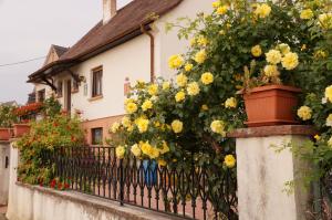 Maisons de vacances Gite Le Mandle : photos des chambres