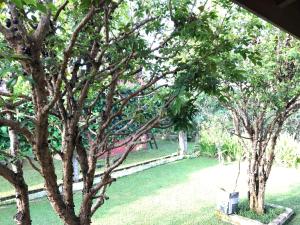 Chácara Estrela Azul