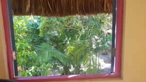 Casinha Amarela EcoLodge Boipeba