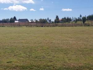 Cabañas M y M Frutillar