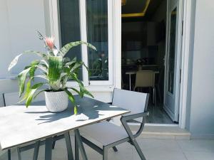 Luxury Apartments Near to the beach