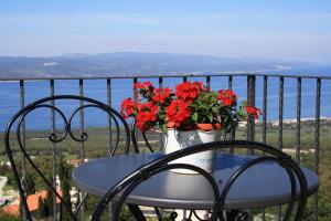 Villa Beloved near Baska Voda, private pool 