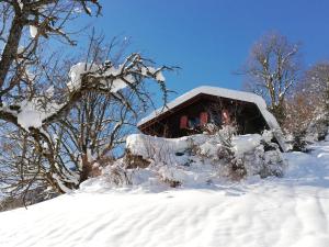 Ferienhaus Ferienhaus Schnider Galgenul Österreich