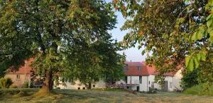 Gut Belgerhof Steinbach Ferienwohnung - Mohorn