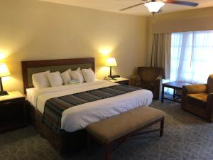 Deluxe King Room - First Floor/Non-Smoking room in Days Inn by Wyndham Natchez