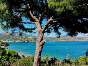 Casa Anna - Capo Perla Apartments