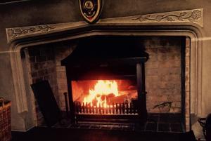 Highland Bear Lodge & Woodland Bear Huts