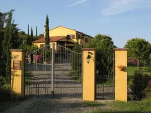 Serra Destri - Riparbella