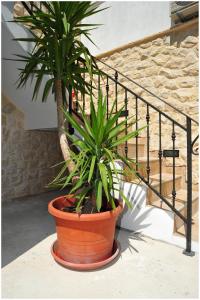 Apartments Cvita