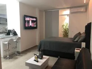 New Modern Studio - Buga