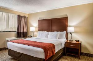 King Suite - Non-Smoking room in Comfort Inn & Suites At Copeland Tower