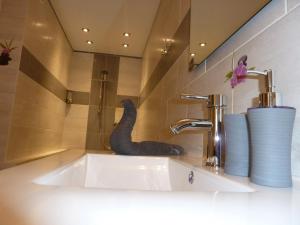 B&B / Chambres d'hotes LE PIOU : photos des chambres
