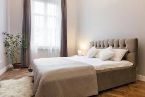 Chopin Apartment in the center of Lviv