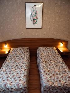 Standard Twin Room room in Cottage na Zelenom