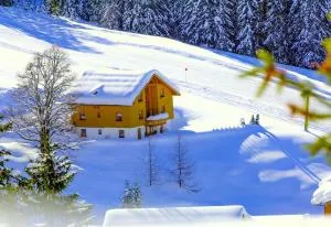 Appartement Doris - Schröcken