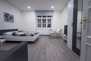 Apartmán Apartments Susilova Brno Česko