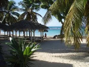 studio creole - 圣弗朗索瓦